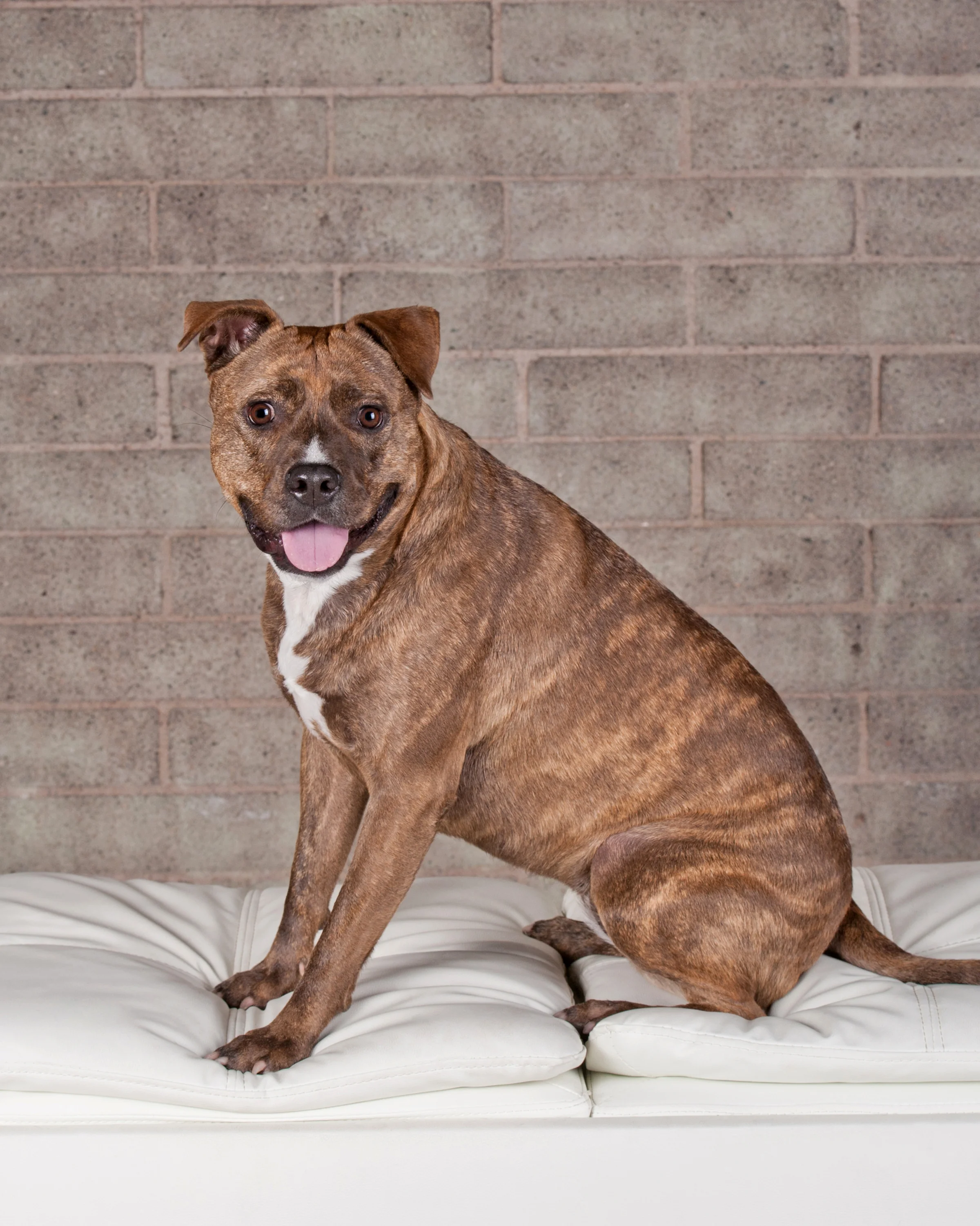 Meatloaf