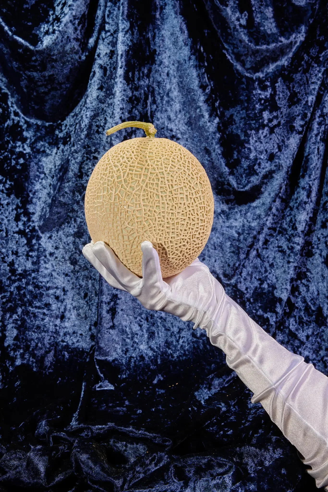 The World of Luxury Fruit: Does a $156 Melon Taste Sweeter?