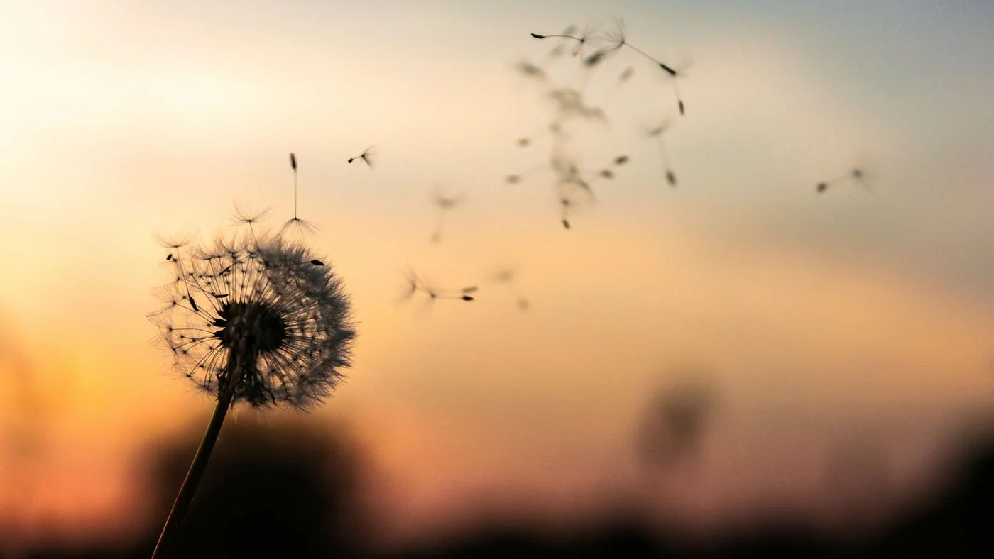 The Healing Grace of God