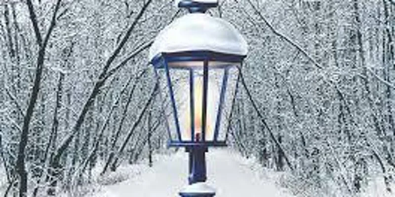 The Narnia Experience