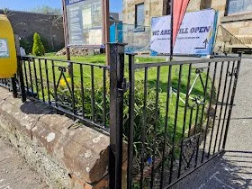 pic-outside-fence.jpg