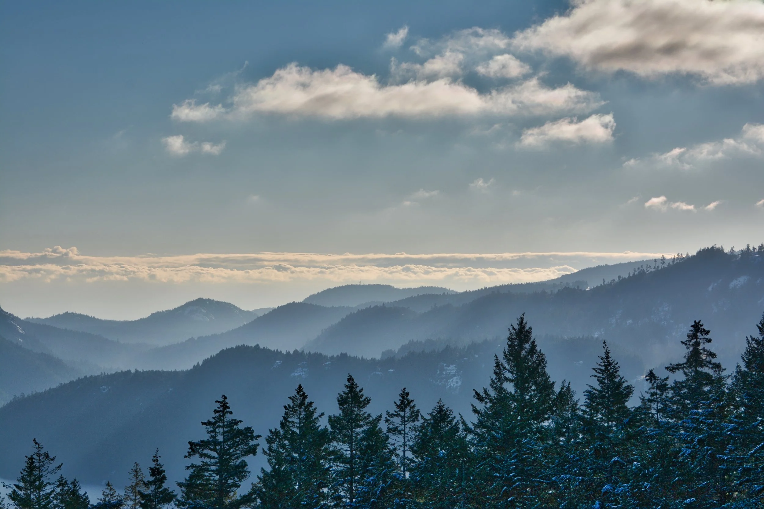 Diocesan Fall Interim Meeting