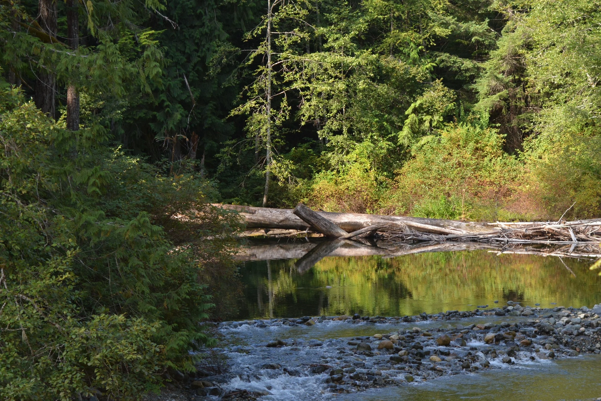 2019 Fall Interim Meeting