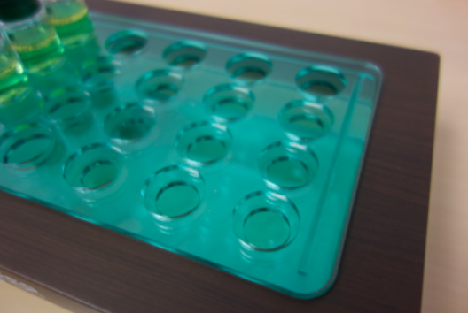 Screen Shot 2017-05-23 at 9.13.14 AM.png