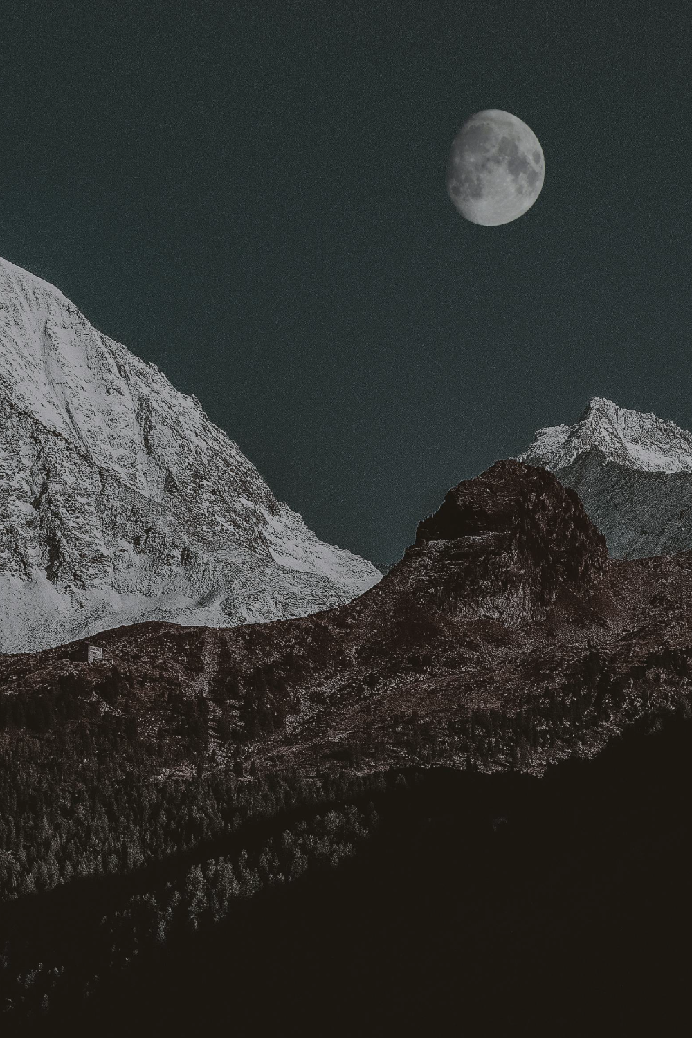 How Does Your Moon Sign Show Up in Your Business