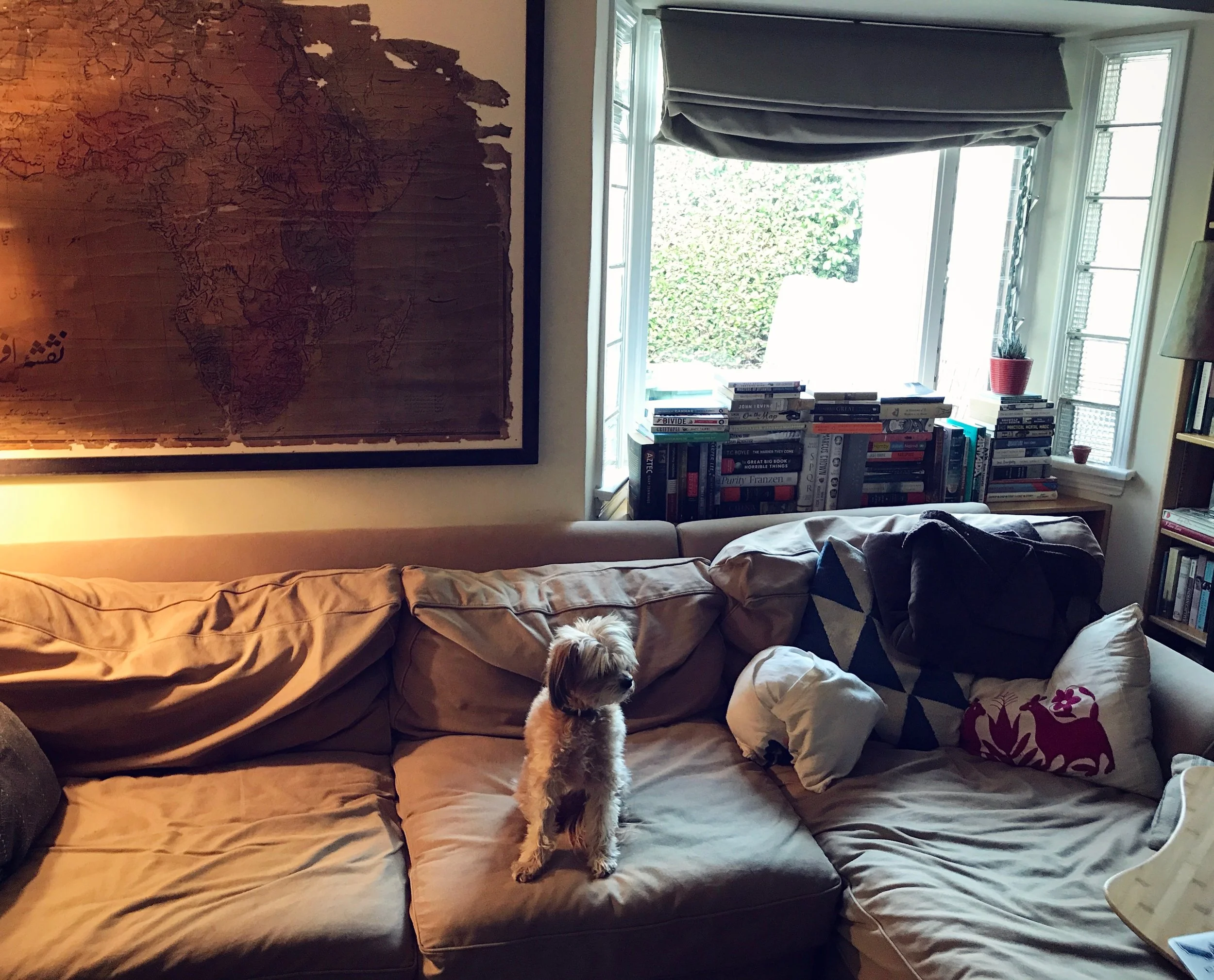      

 
   Last week I had a panic attack in my dream.  It ended with me hyperventilating, first while asleep and then after my husband, Jason, shook me awake. I didn’t think that kind of thing was possible in a dream, but look at me, blazing trails