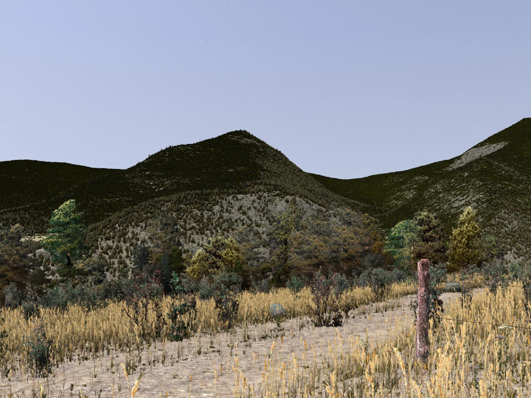 ... and here is another Camera perspective of the "Horseshoe Park", Colorado 3D environmental model in VNS ...
