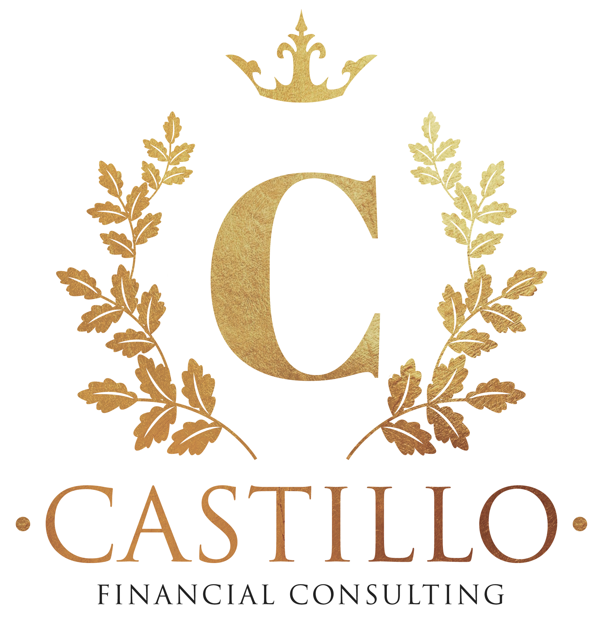 Castillo Financial Consulting 