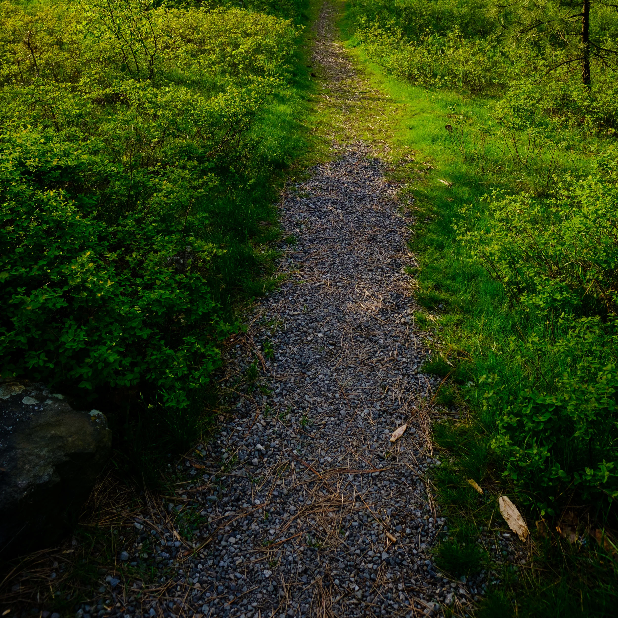 One step at a time to your destination.