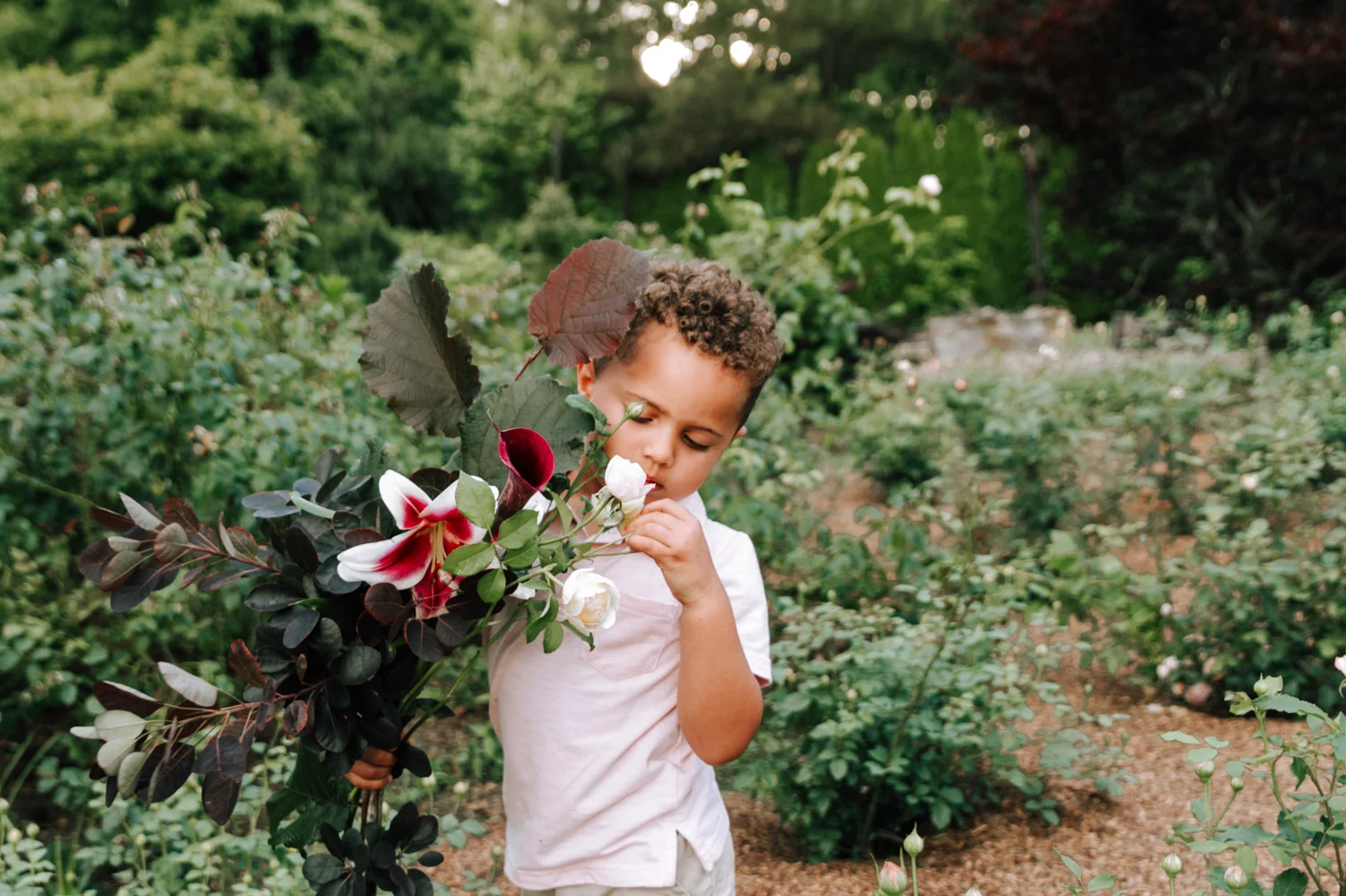 franklin-family-photographer.jpg
