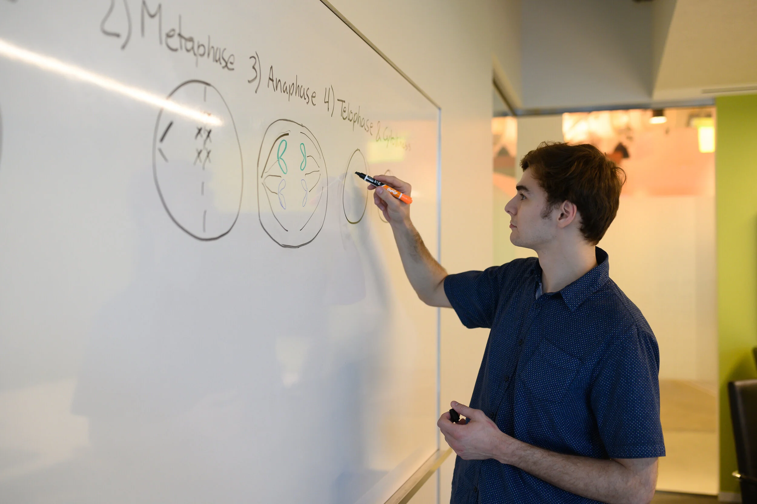 Harrison whiteboard.jpg