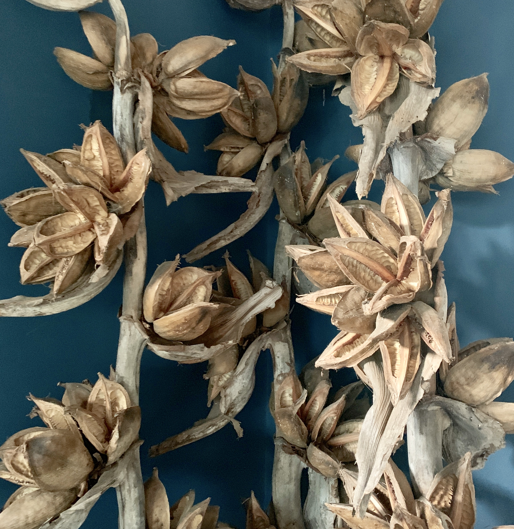 Sustainable, Streamlined Simplicity