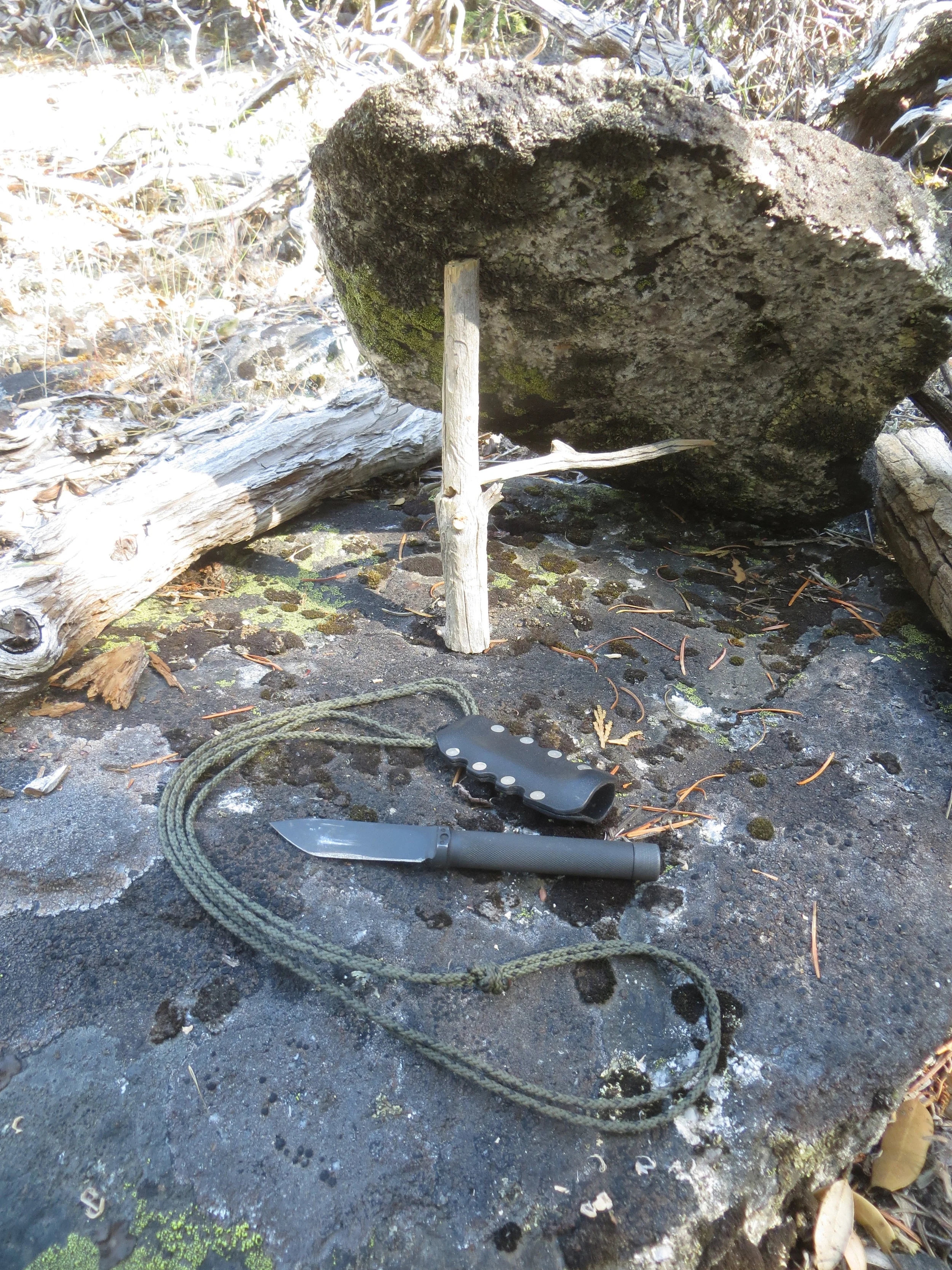 Prototype Firefly with deadfall.jpg