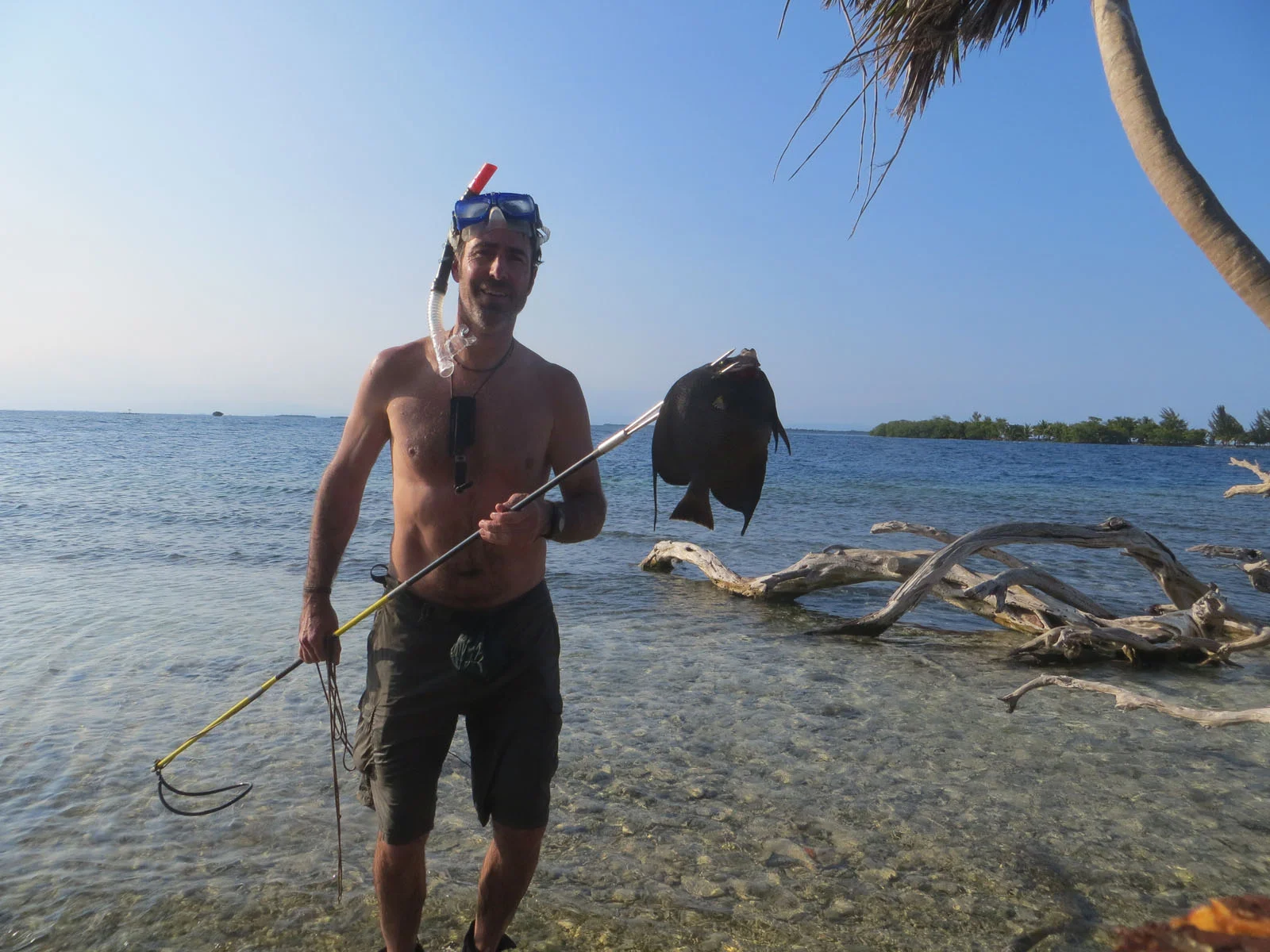 Rob Weir on a solo survival trip on a desert island in Belize 2015. Hawaiian sling and clean kill shot on this beautiful Angel fish.
