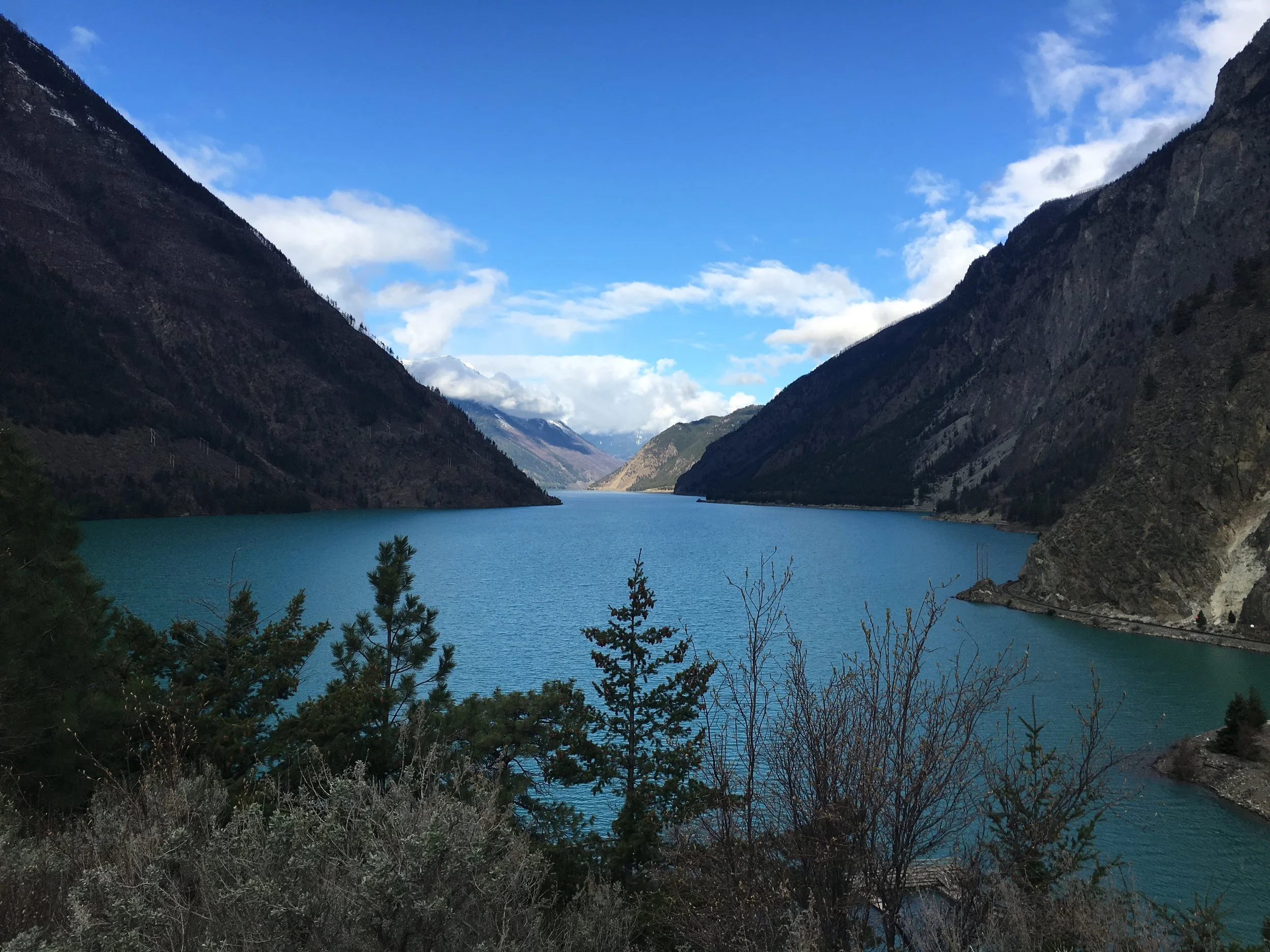 Surprisingly Simple Ways to Detoxify