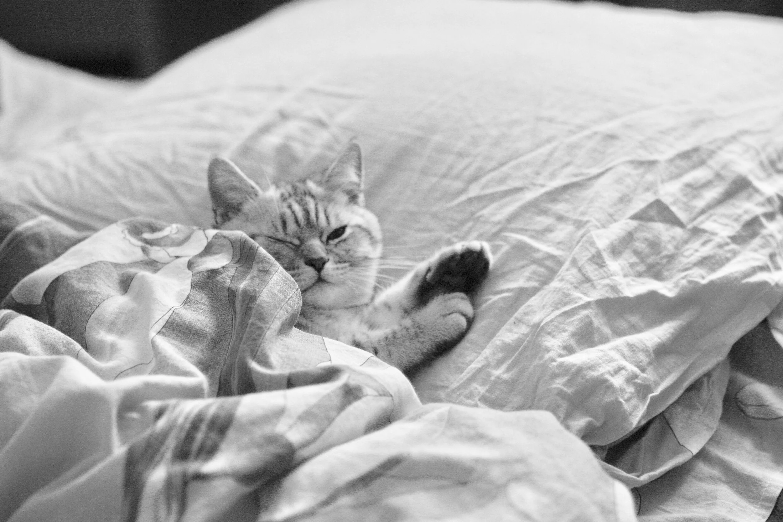 Are you Bored yet? 3 Things to do to Keep you Productive!