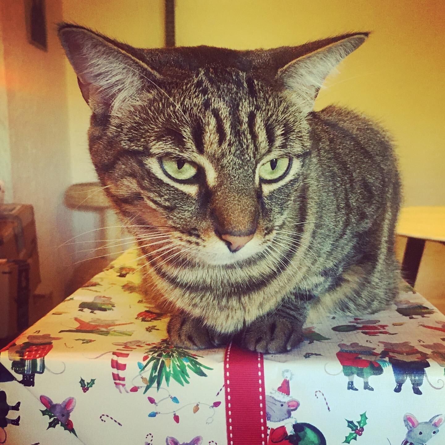 Happy Holidays