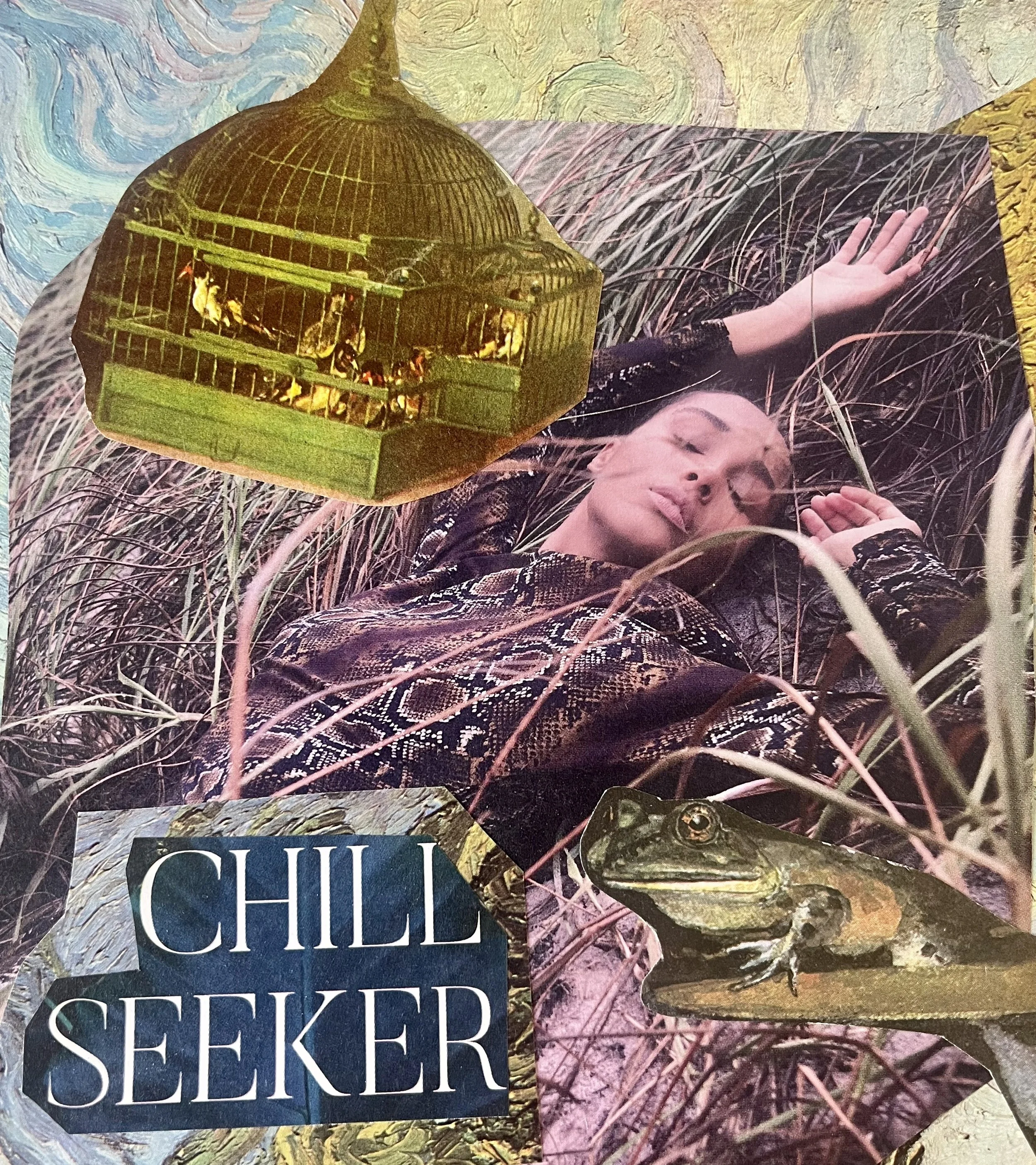 chillseeker.jpg