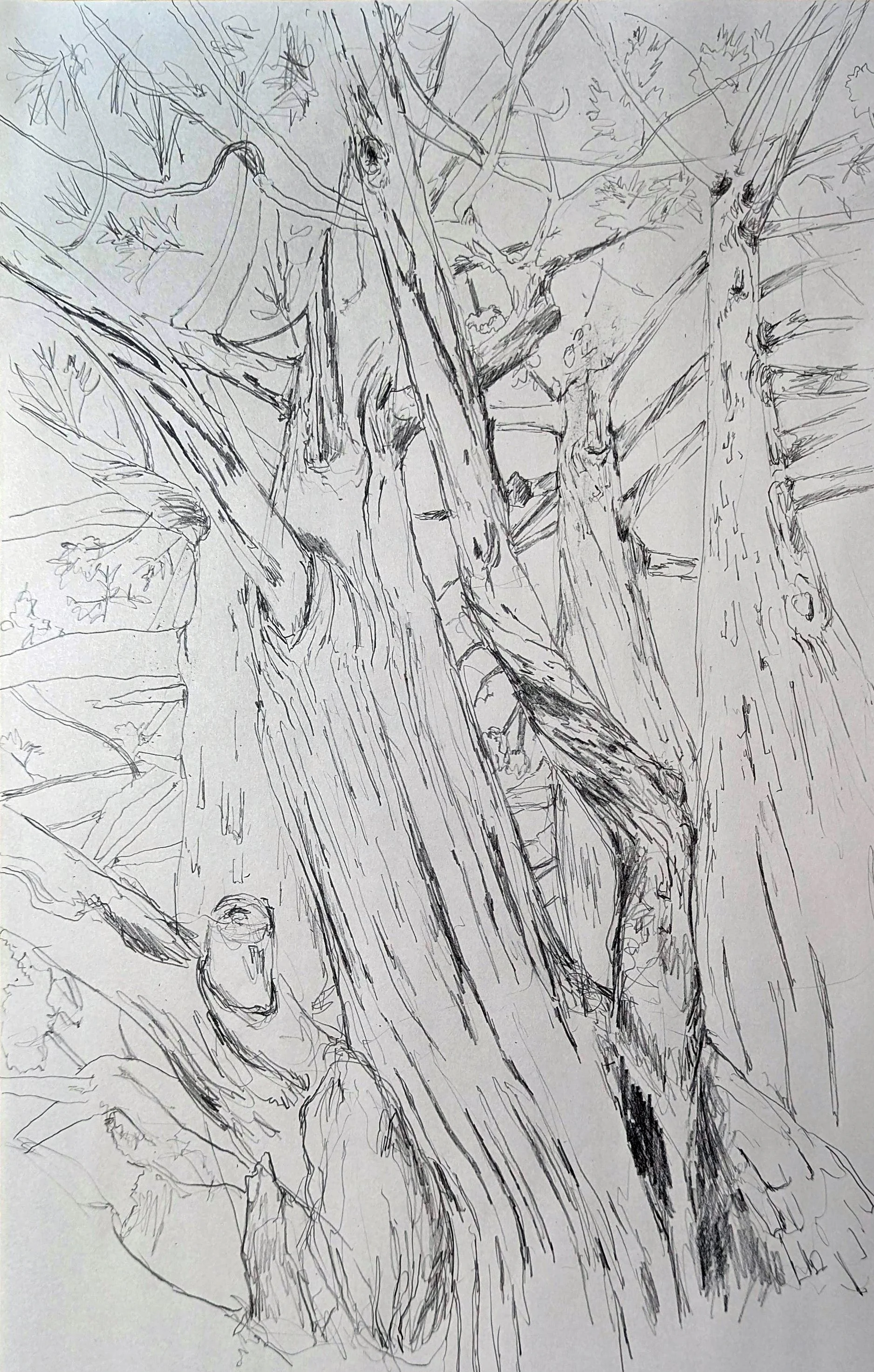 010 Drawing.jpg