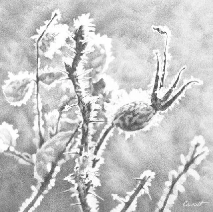 Drawing Basics - Next Step - Susan Casault.JPG