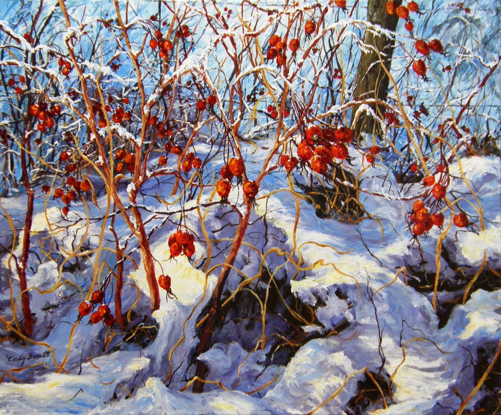 Winter Rose Hips by Cindy Barratt.JPG