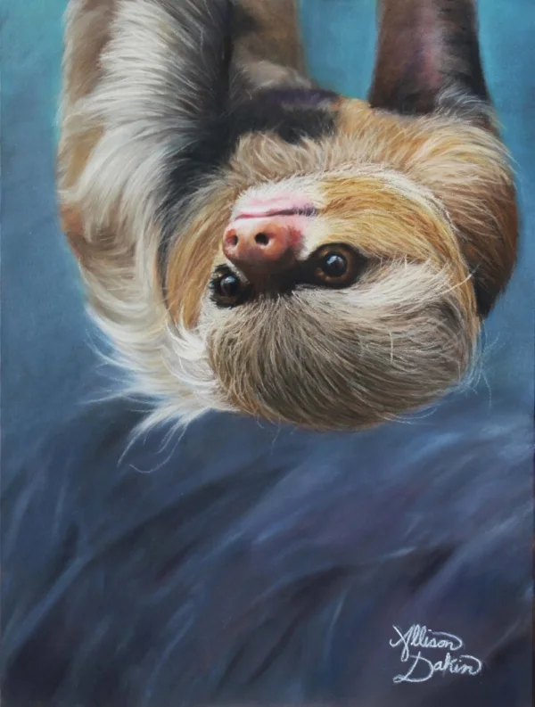 “ Hanging Around ” Winning Third Place In the Intermediate Category 2017 Open Art Competition
