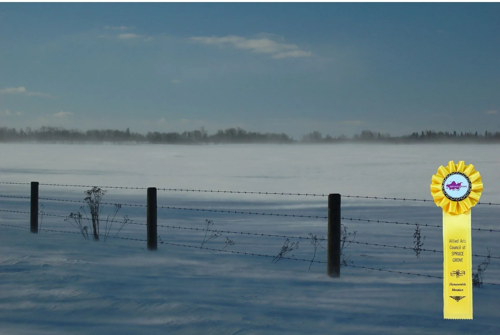 Anne Gartner — Allied Arts Council