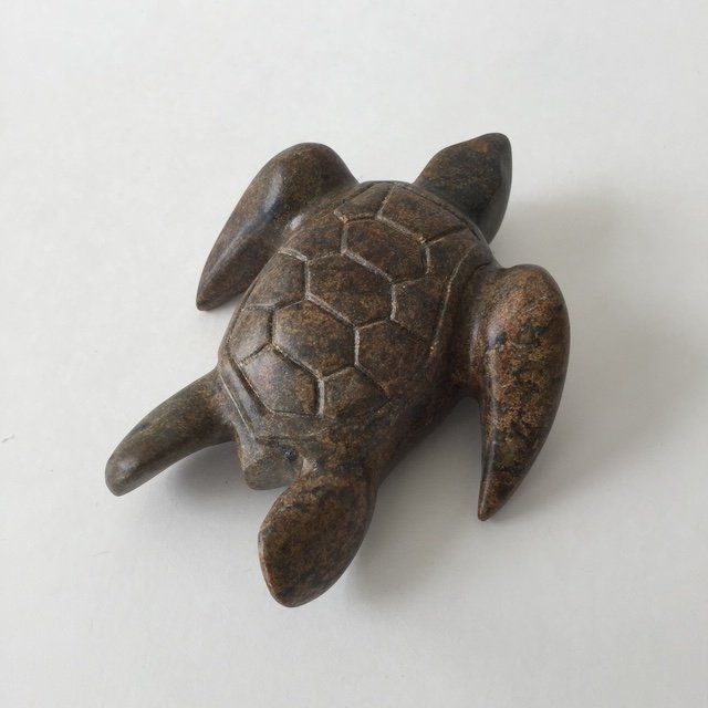 SVollmer - sea turtle.JPG