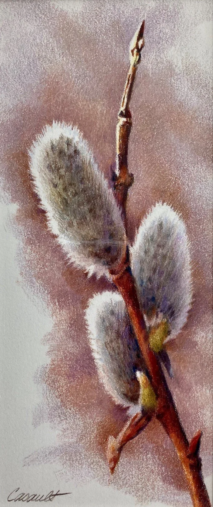 Susan Casault class image 2.jpg