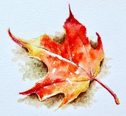 wc pencil maple leaf.jpg