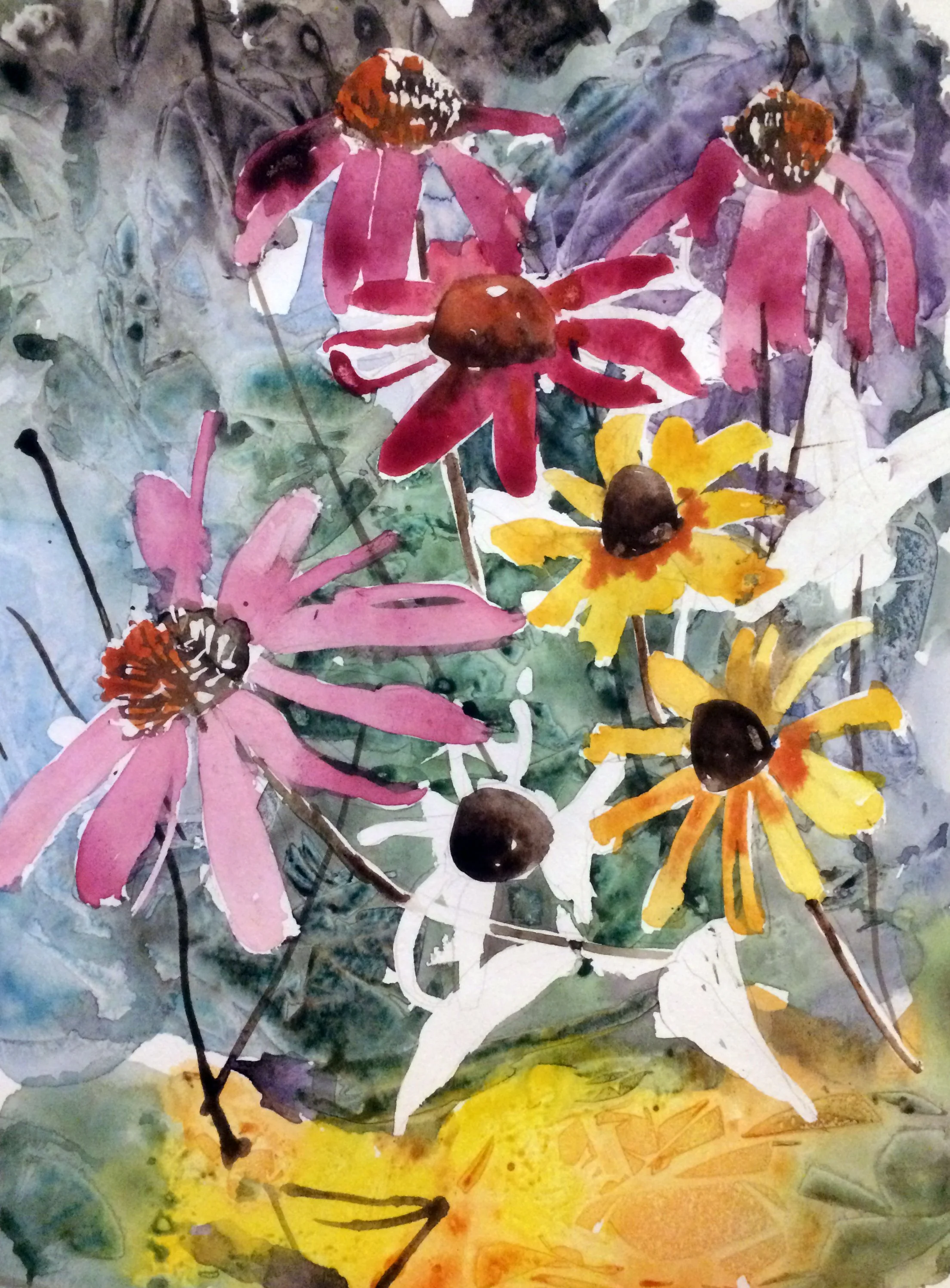 Summer coneflowers.jpg