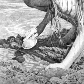 Drawing Australia in Graphite with Susan Casault, 6 Wednesdays September 10-October 15, 2025 9am-12pm