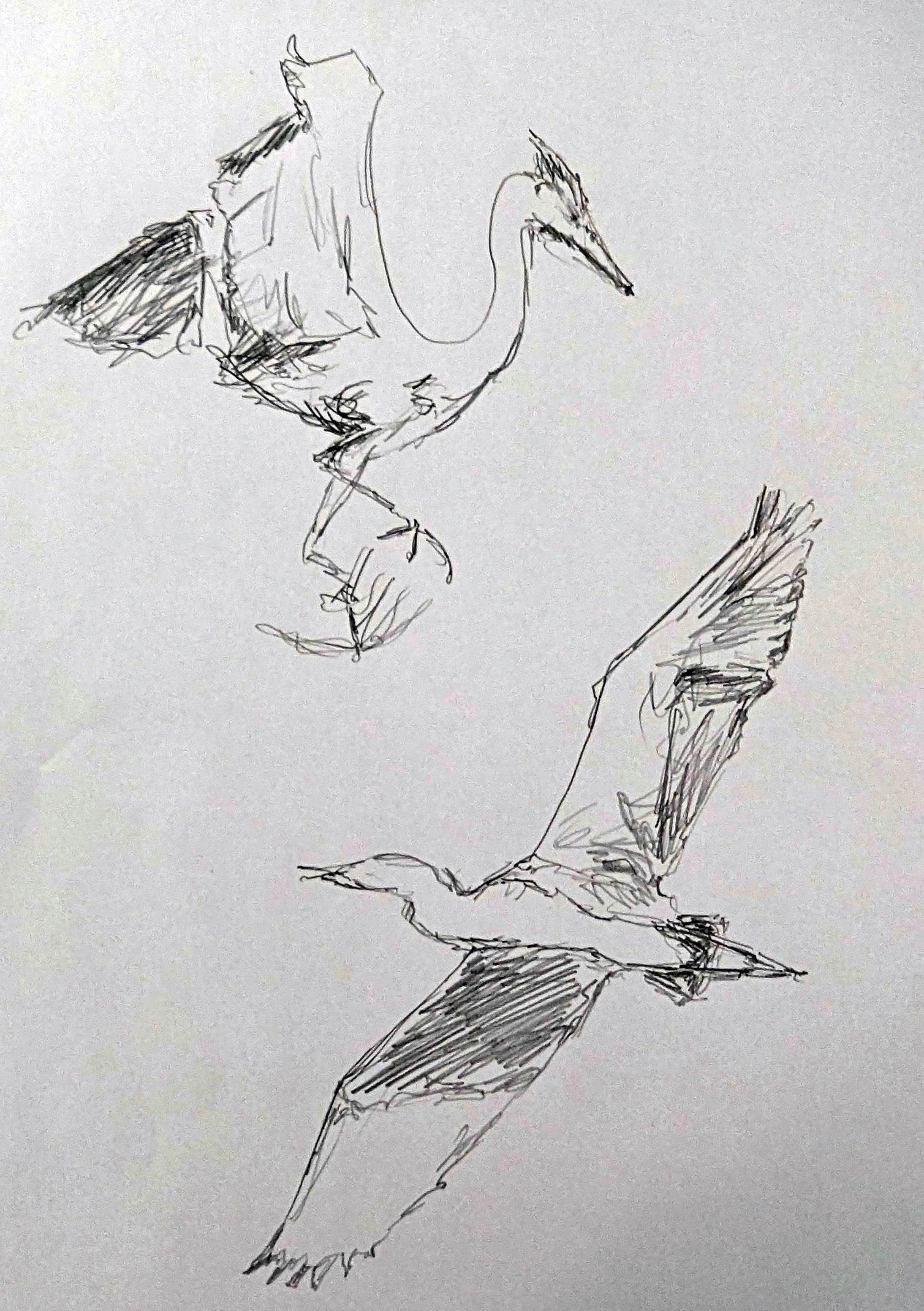 08 Drawing.jpg