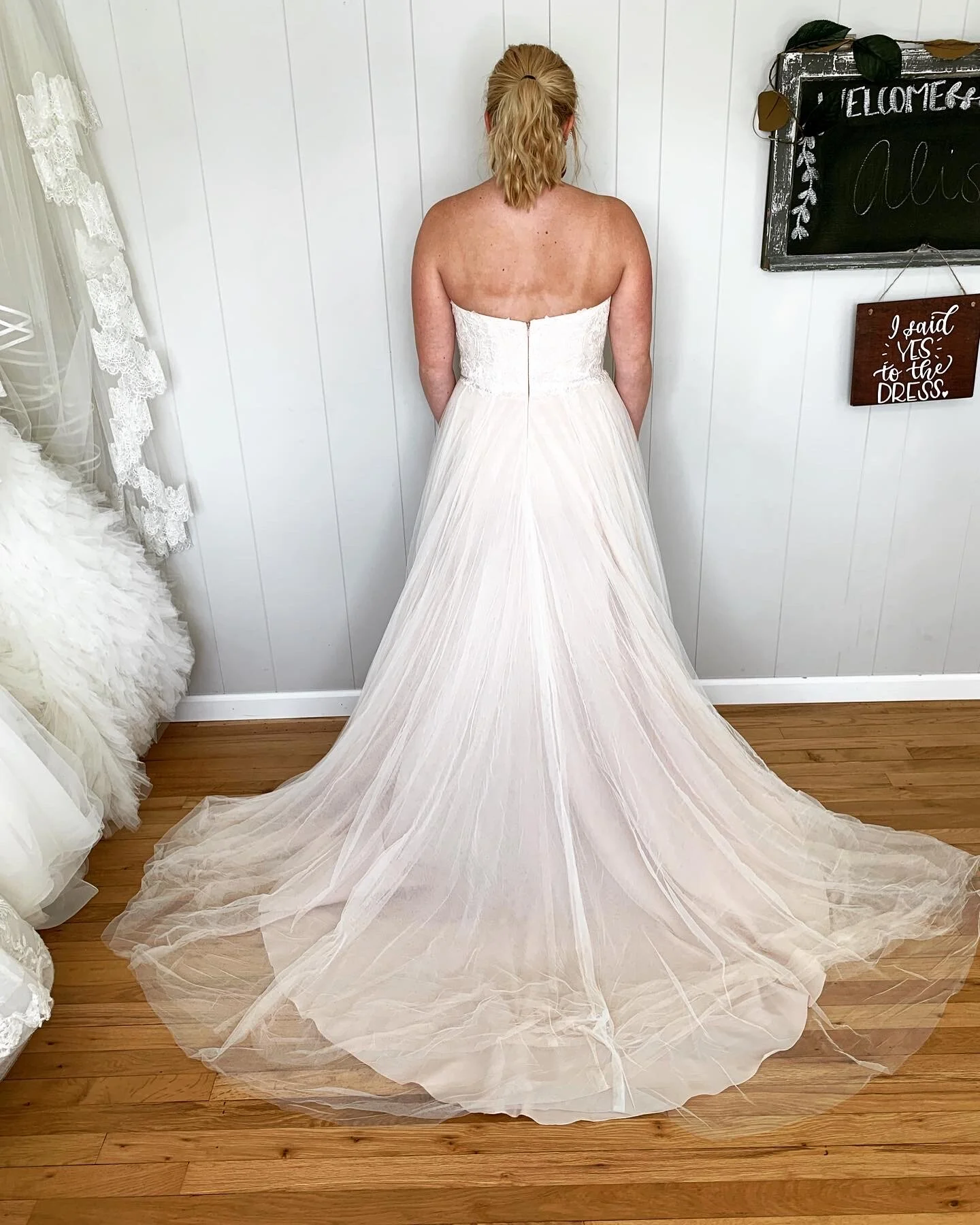 C1B8DDA9-9322-41E0-8310-7DAAB934468C