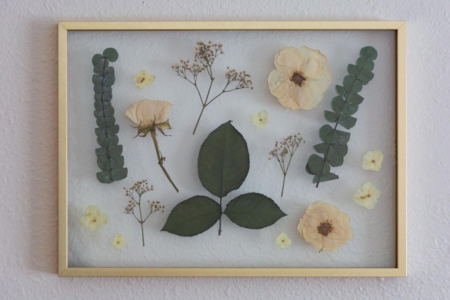 Glass frame with natural preserved & dried flowers in green with logo /  opening - Shop ohanabako Dried Flowers & Bouquets - Pinkoi