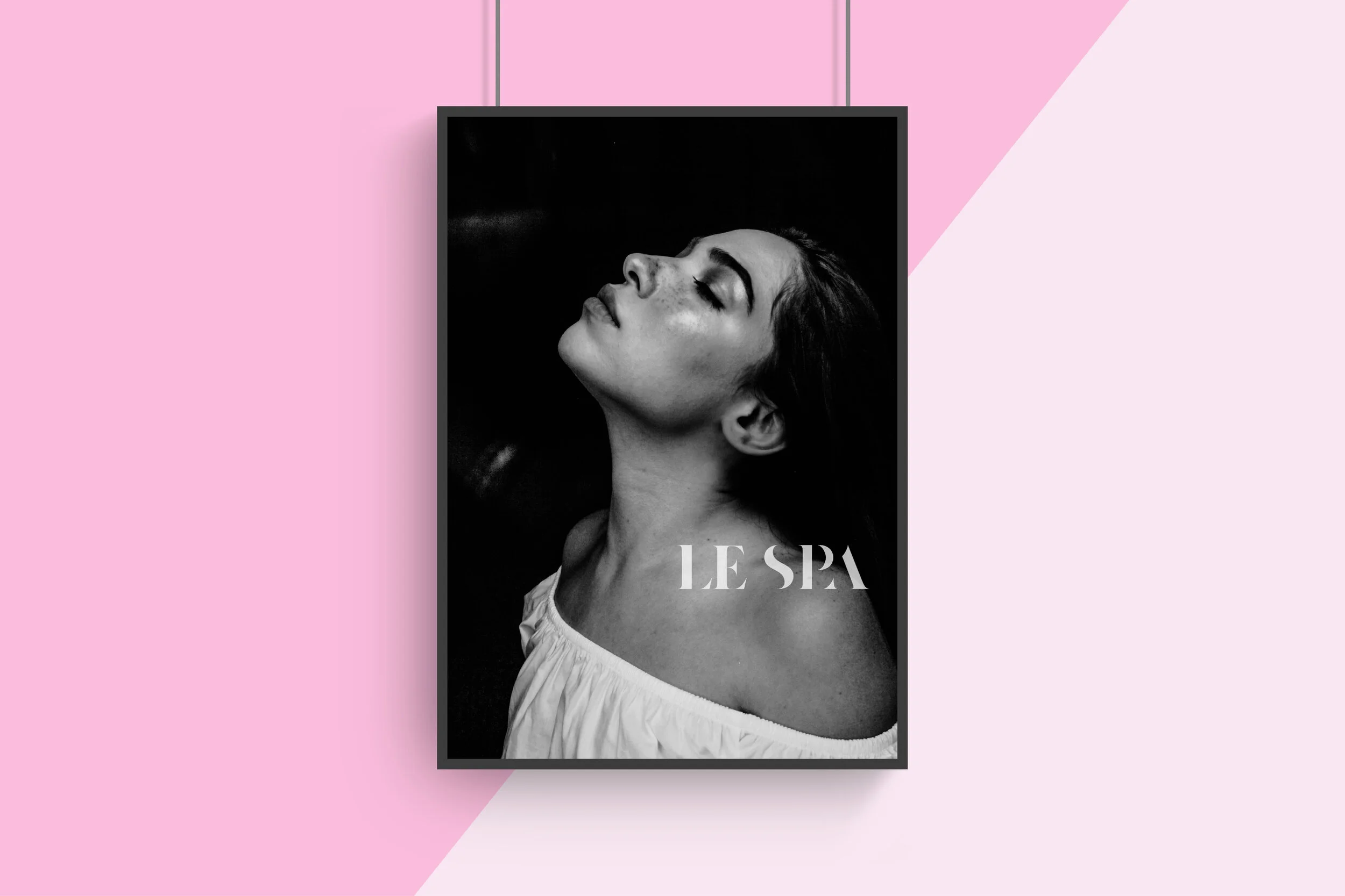 Le Spa Plastic Surgery Logo 3.jpg