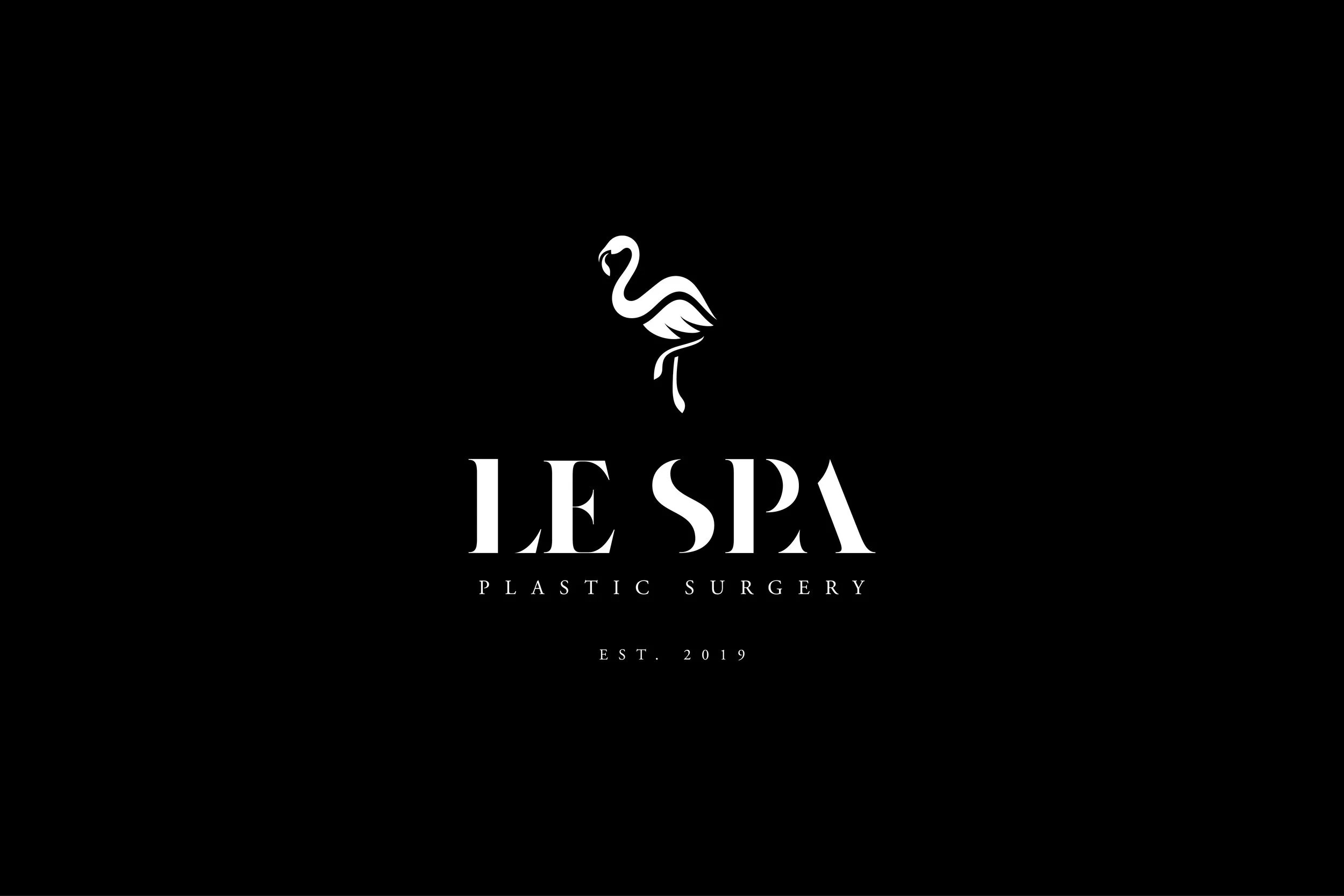 Le Spa Plastic Surgery Logo.jpg