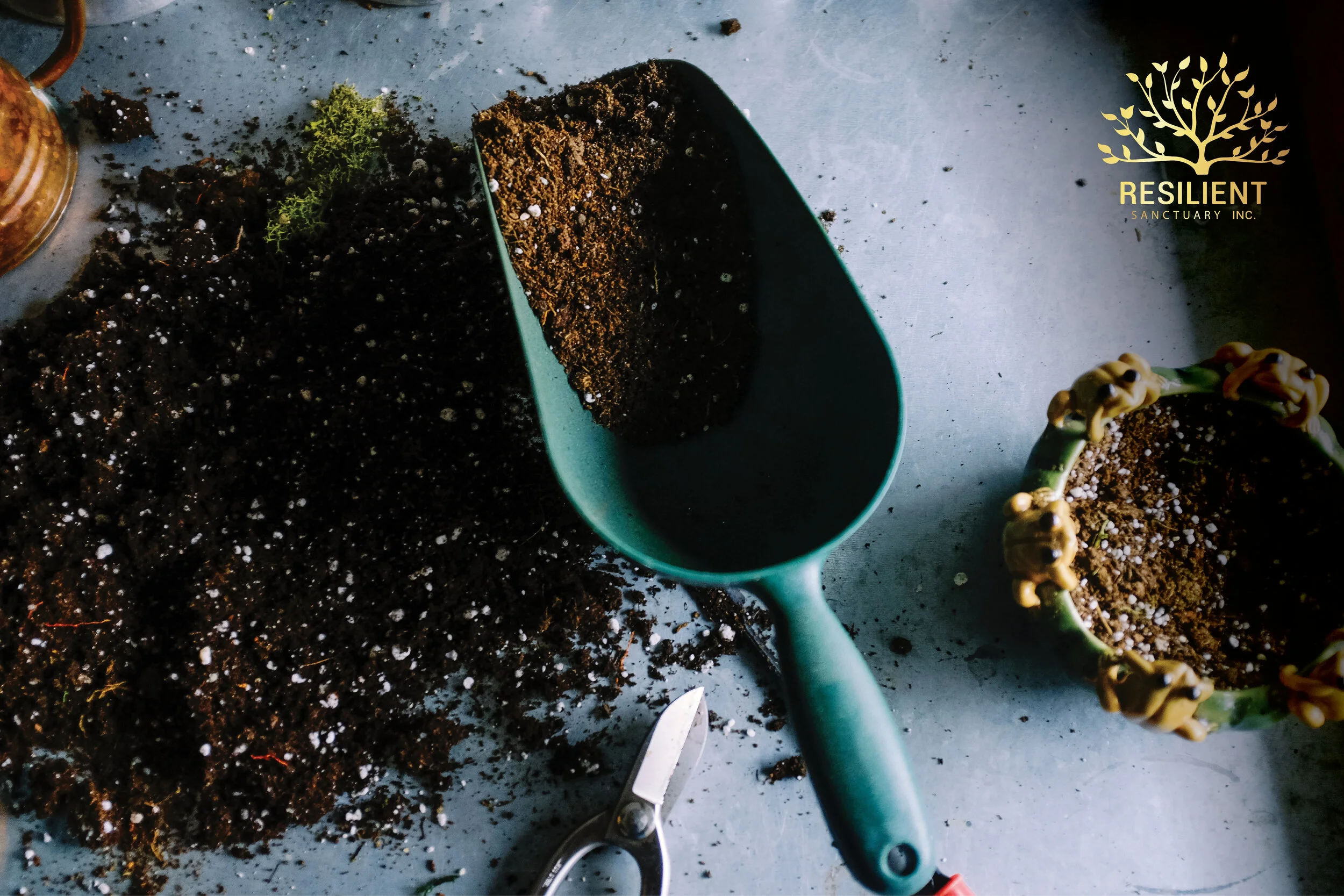 Sanctuary Logo 9.jpg