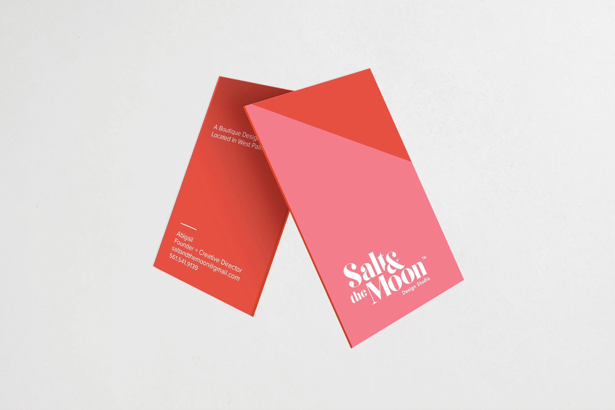Salt_and_the_Moon_Logo_Presentation5.jpg