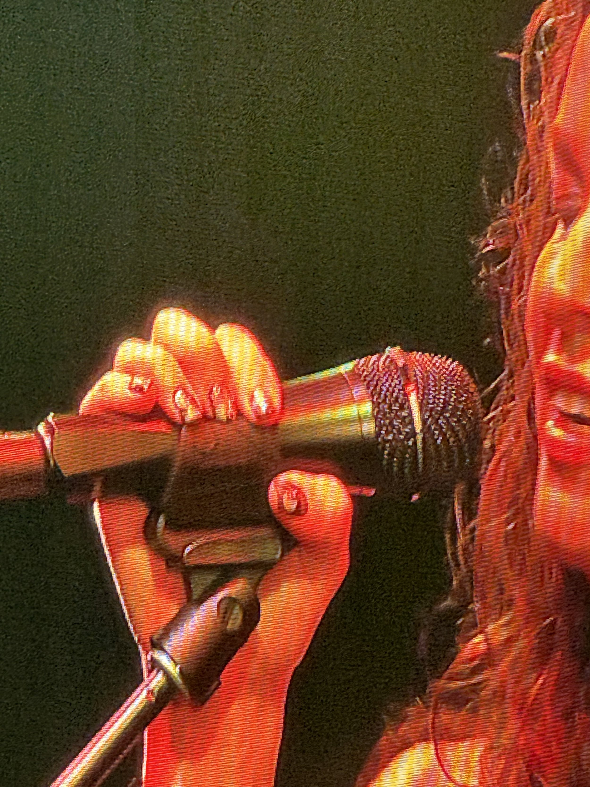 Alanis Morissette Tour 2024,2022