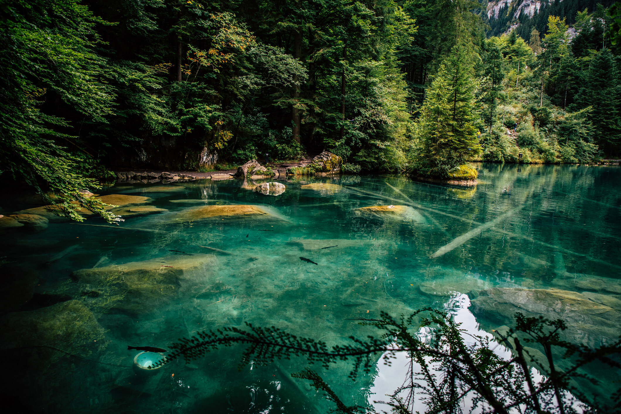 Lake Blausee - summertime