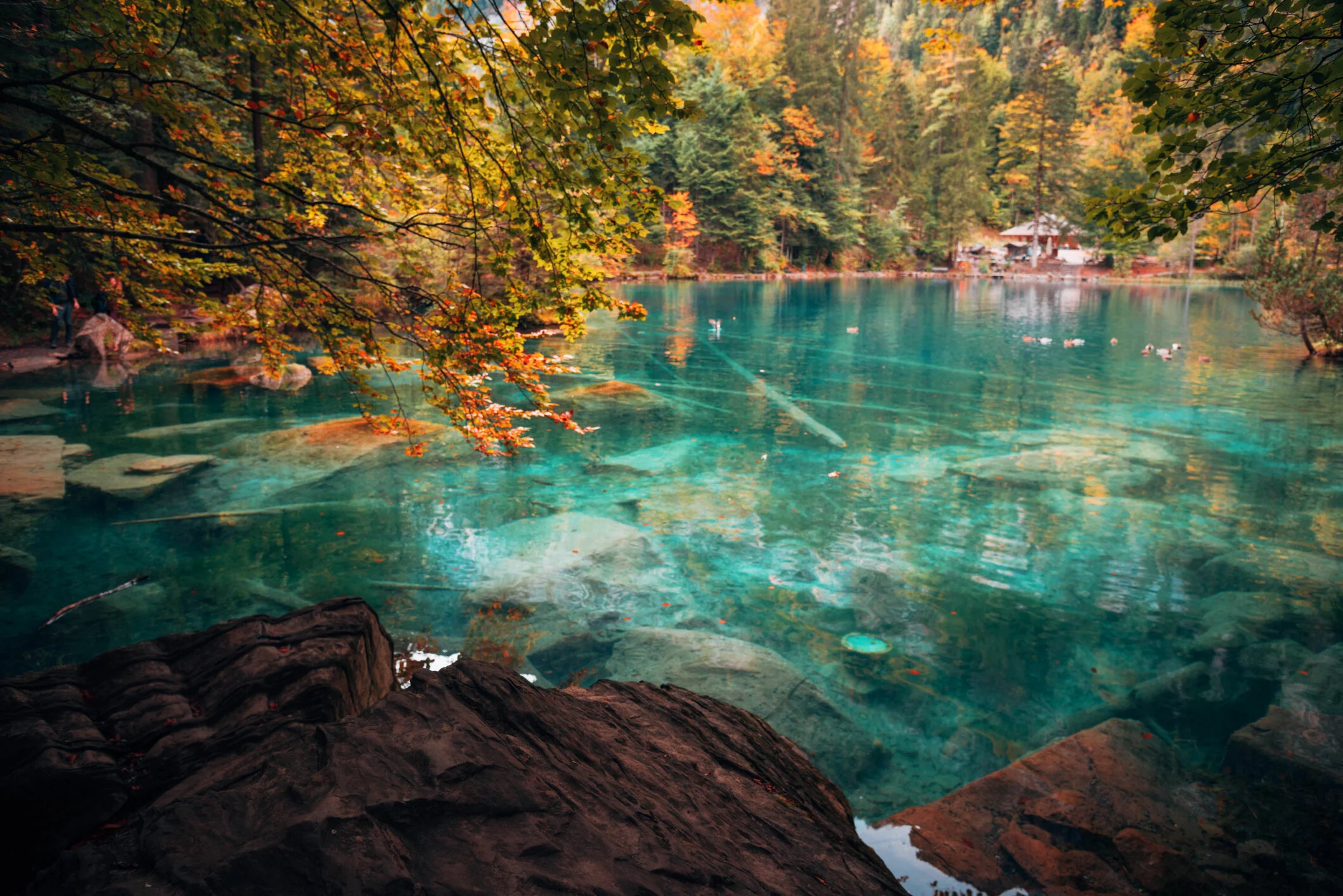Halfday Lake Blausee tour from Interlaken SWISS DAY TOURS