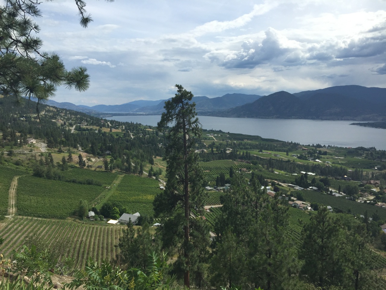 The view of Okanagan Lake as you come into Naramata.