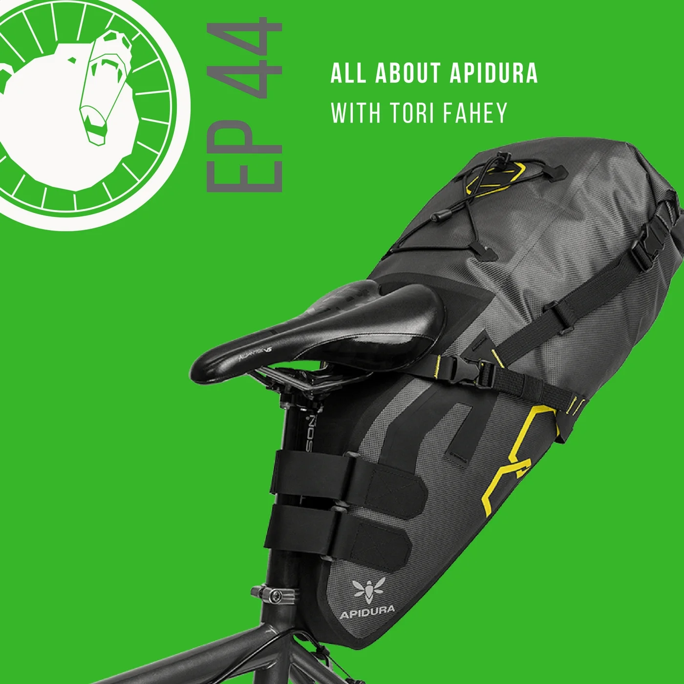 44. All About Apidura