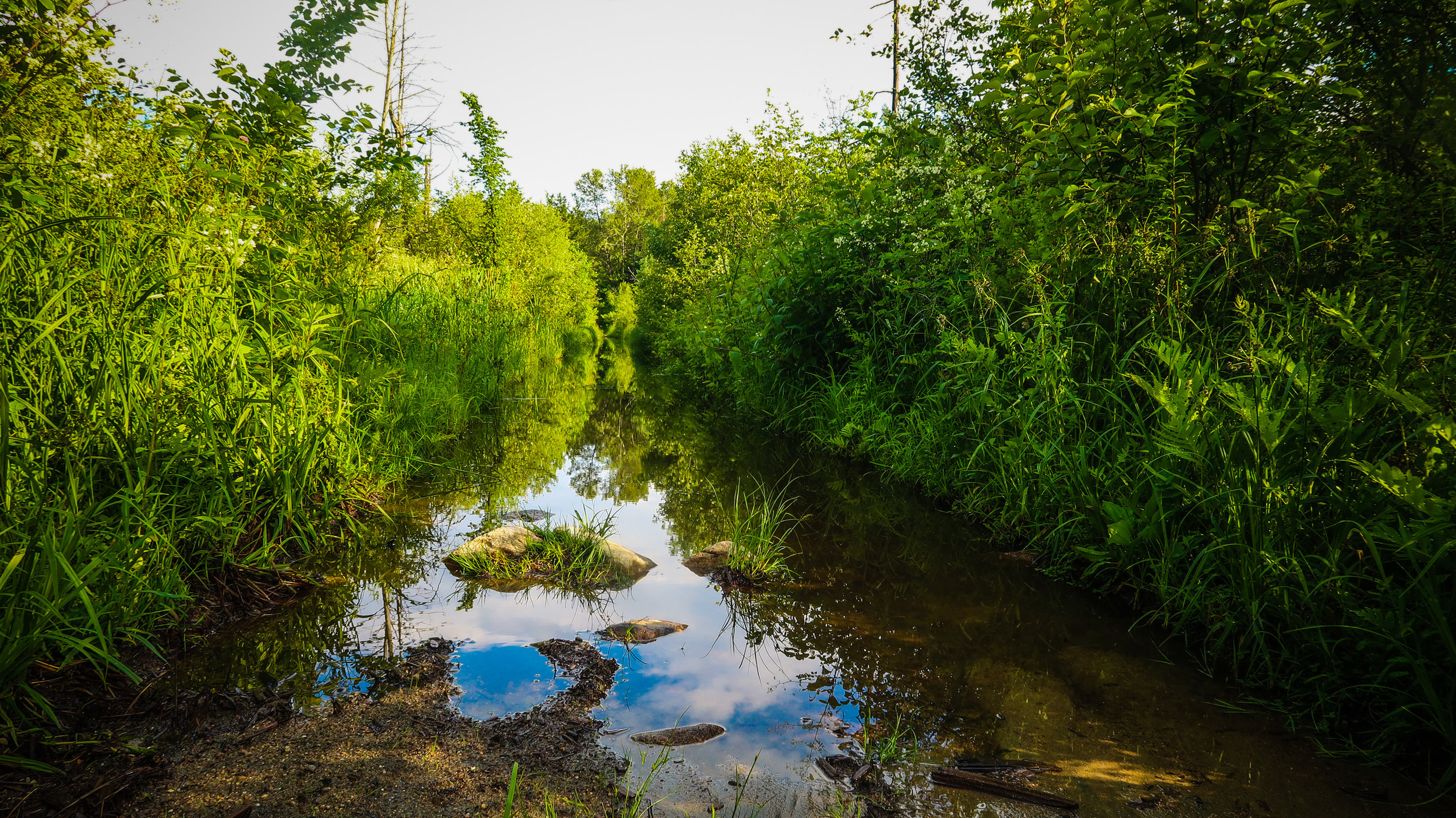  Flooding along the trail should be expected. You may pedalling through axle deep sections several times along the route. It’s frustrating but there’s also a beauty to it. 