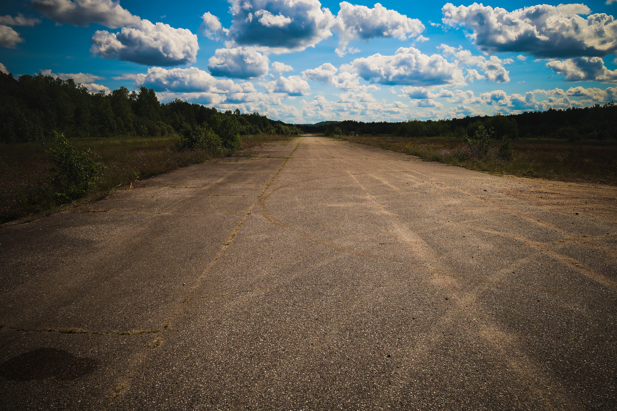  An abandoned government airstrip in the middle of the woods. 