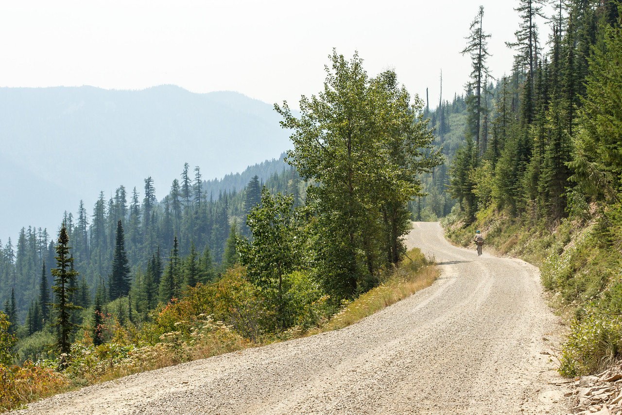 Kaniksu National Forest