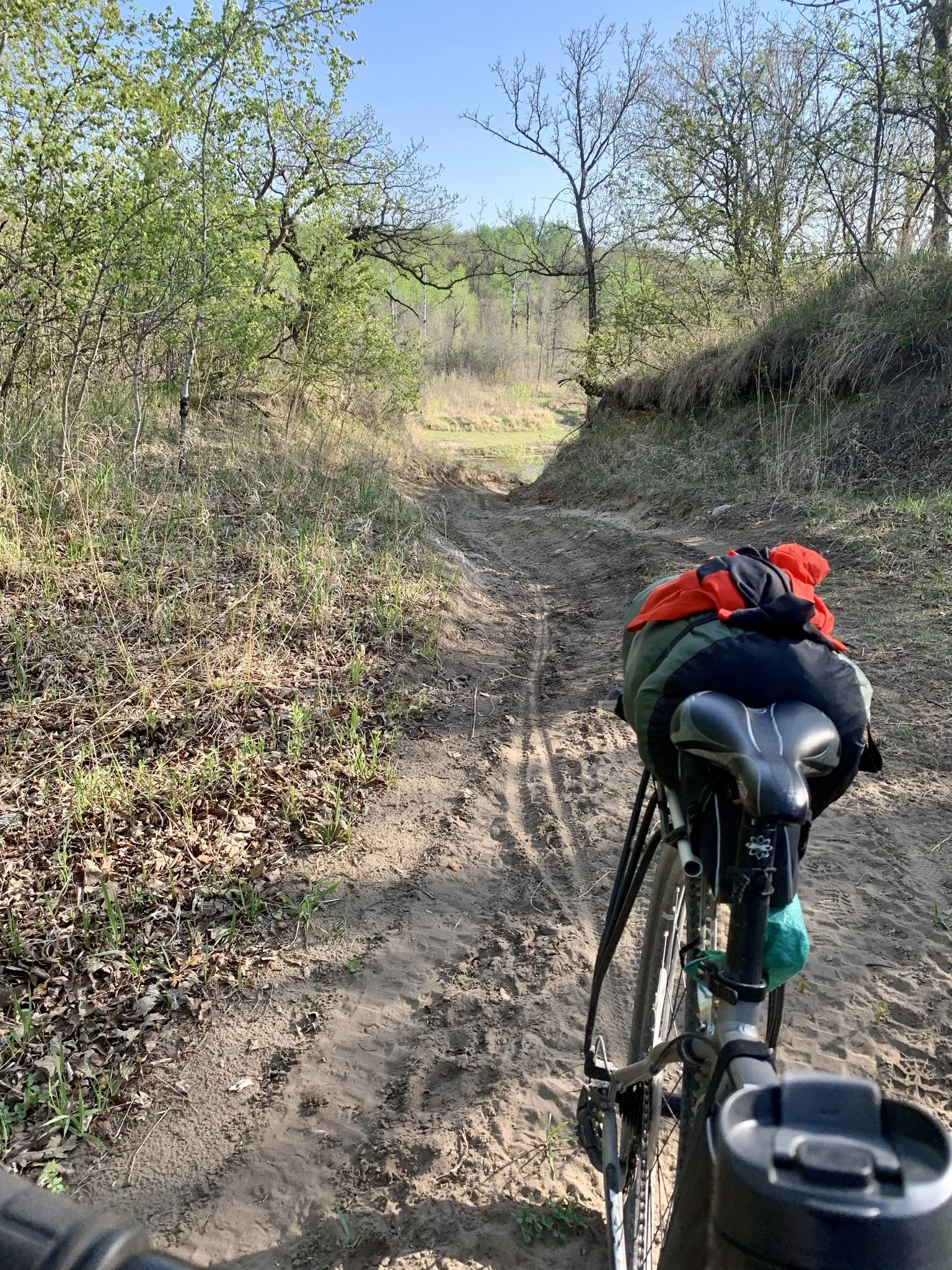 Trail along Roseau River