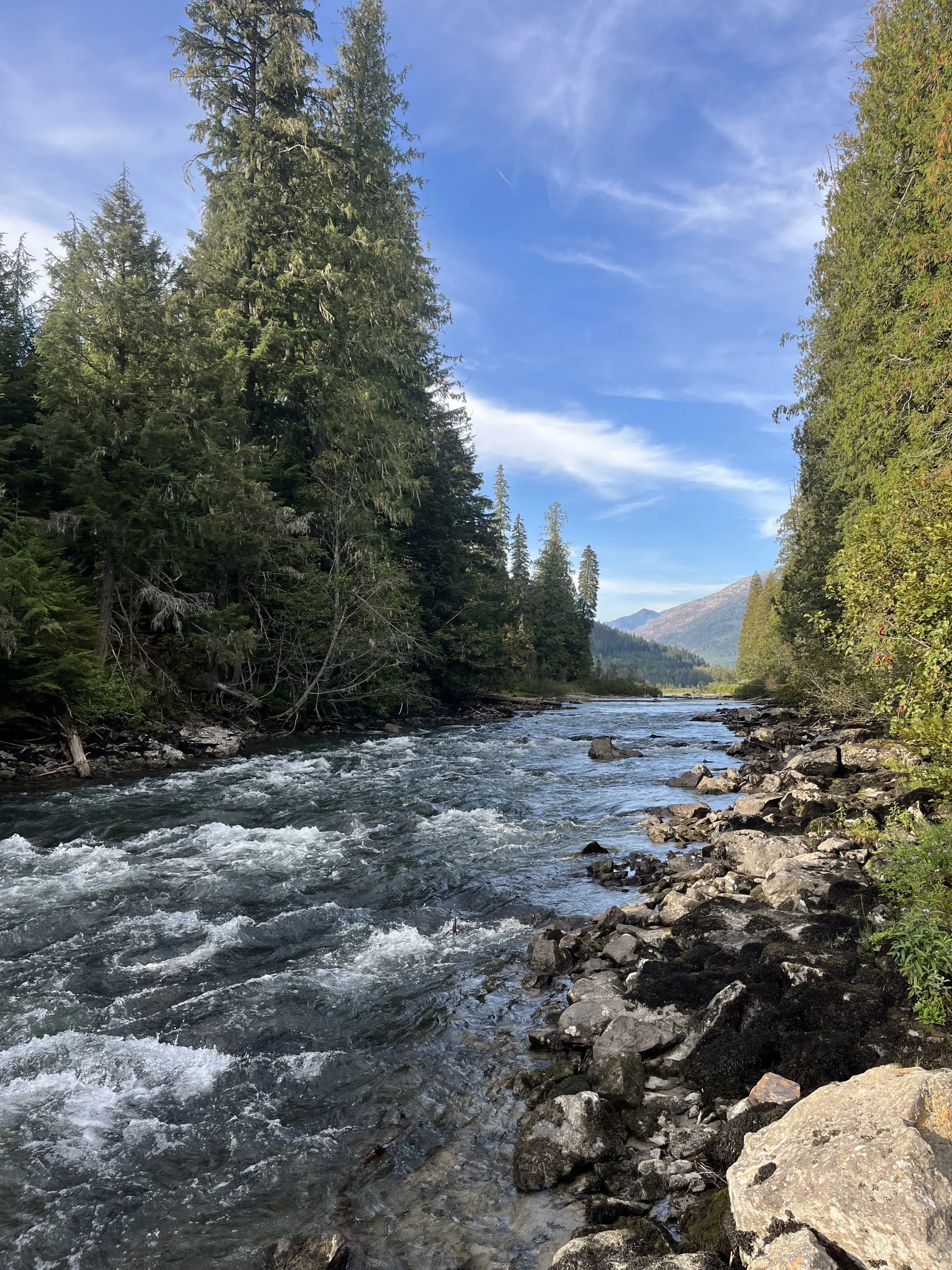 IMG_4313.jpeg