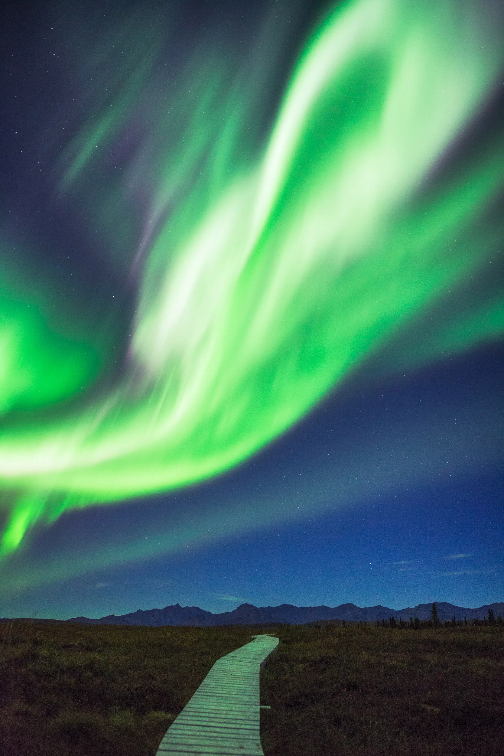 Healy Alaska northern lights 2 by Michael Matti.jpg